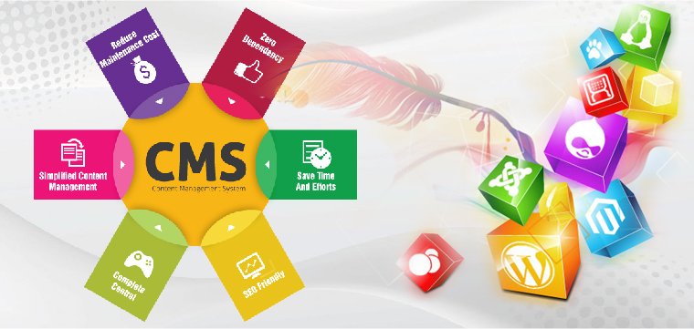CMS Website Development Company Pune & Mumbai